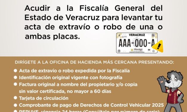 ¿Extraviaste o te robaron tus placas? Sefiplan te guía paso a paso