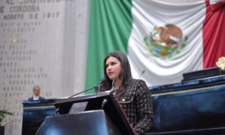 Convoca diputada a participar en programa “Sí al desarme, sí a la paz”