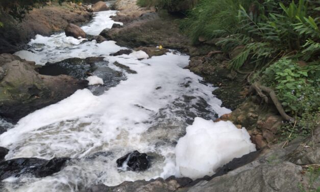 Ingenio de caña y café contaminan río de ‘Los Pescados’ en Jalcomulco