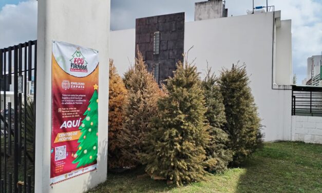 Eco Navidad: ¡Más de 8 mil árboles reciclados!