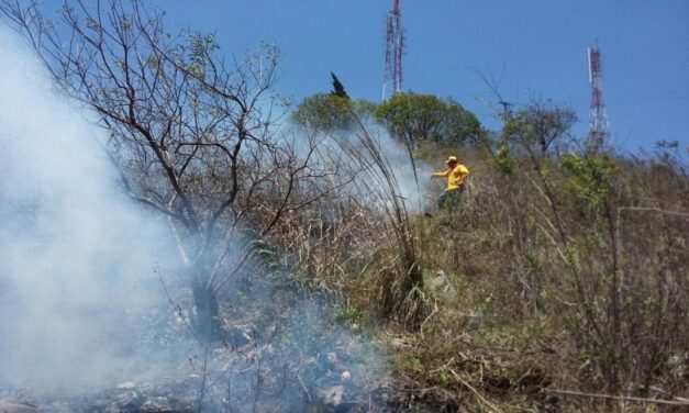 Suma Veracruz 16 incendios forestales, ocupa el 9º lugar nacional
