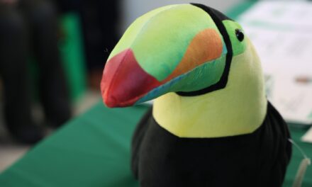 Nombres… nombres! Definido el tiro en Tuxpan y Alvarado