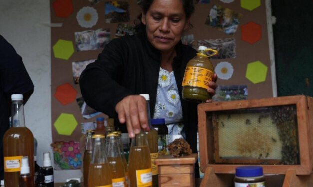 Prevén realizar 12 ‘Agro Tianguis Multisectoriales’ en el estado para promover a productores locales