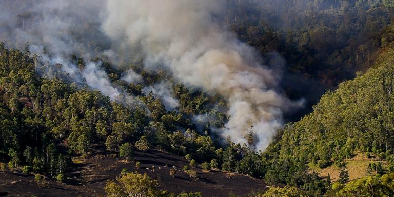 Veracruz se mantiene en noveno lugar nacional respecto a incendios forestales con 26