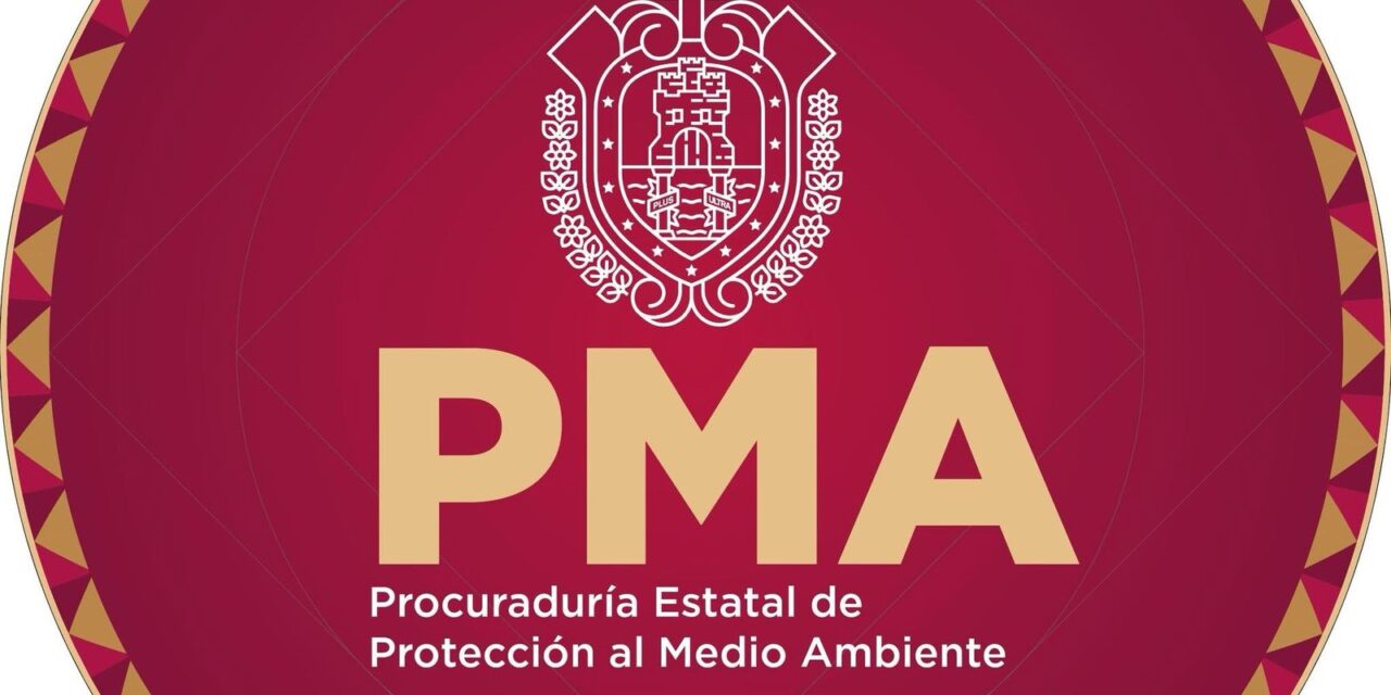 Confirma PMA deceso del tiburón tigre Benito 