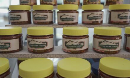 Invita SECVER a vivir el Encuentro Gastronómico de Cumbre Tajín