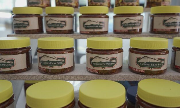 Invita SECVER a vivir el Encuentro Gastronómico de Cumbre Tajín