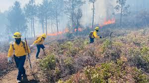 Veracruz registra 40 incendios forestales, la mayoría en cinco municipios