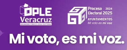 El proceso electoral  