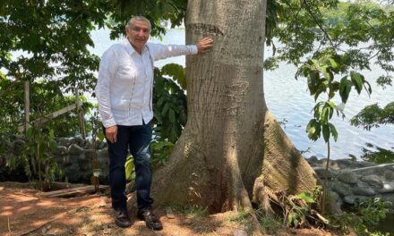 ColumnaSinNombre