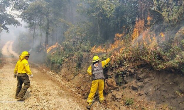 Gobierno de Veracruz mantiene control de cuatro incendios forestales