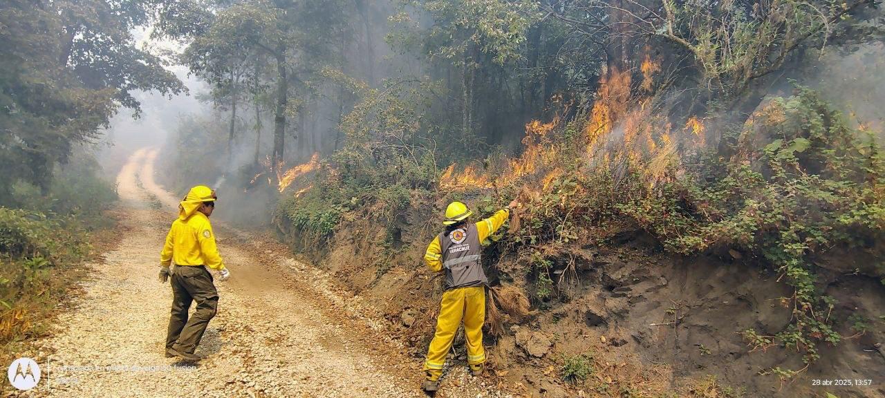 Gobierno de Veracruz mantiene control de cuatro incendios forestales