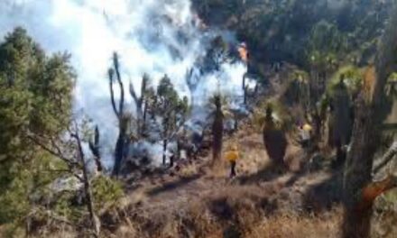 Se coordina PC federal y estatal para hacer frente a incendios forestales, afirma Nahle