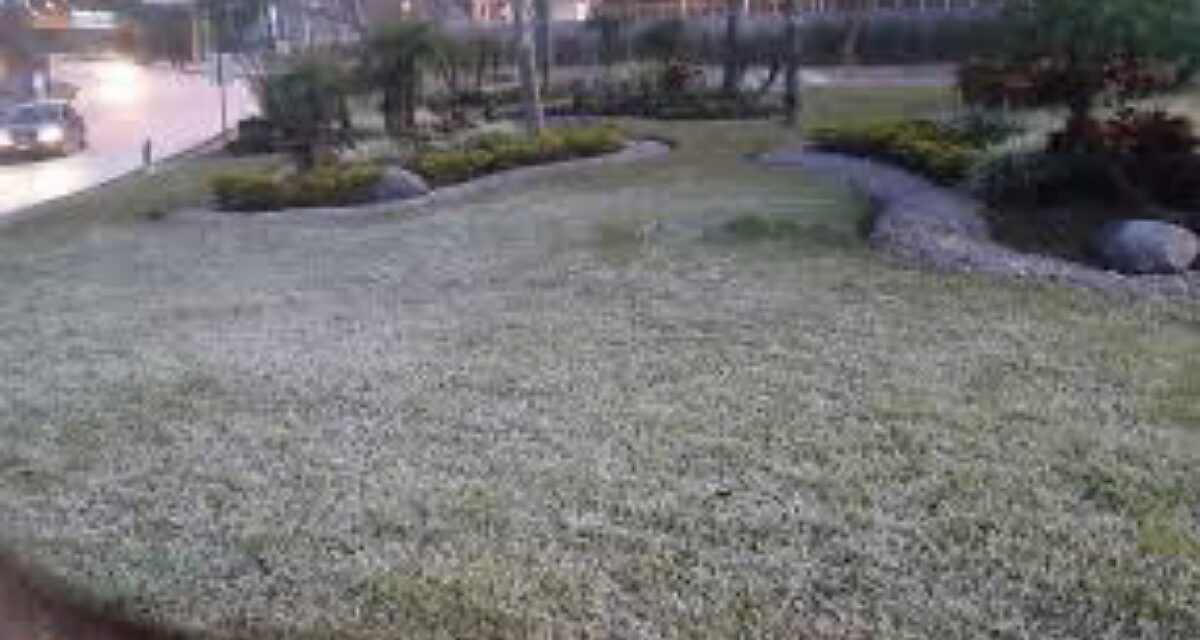 Bajas temperaturas y heladas durante la madrugada en región de Perote, Pico de Orizaba y Zongolica