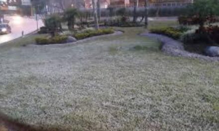 Bajas temperaturas y heladas durante la madrugada en región de Perote, Pico de Orizaba y Zongolica