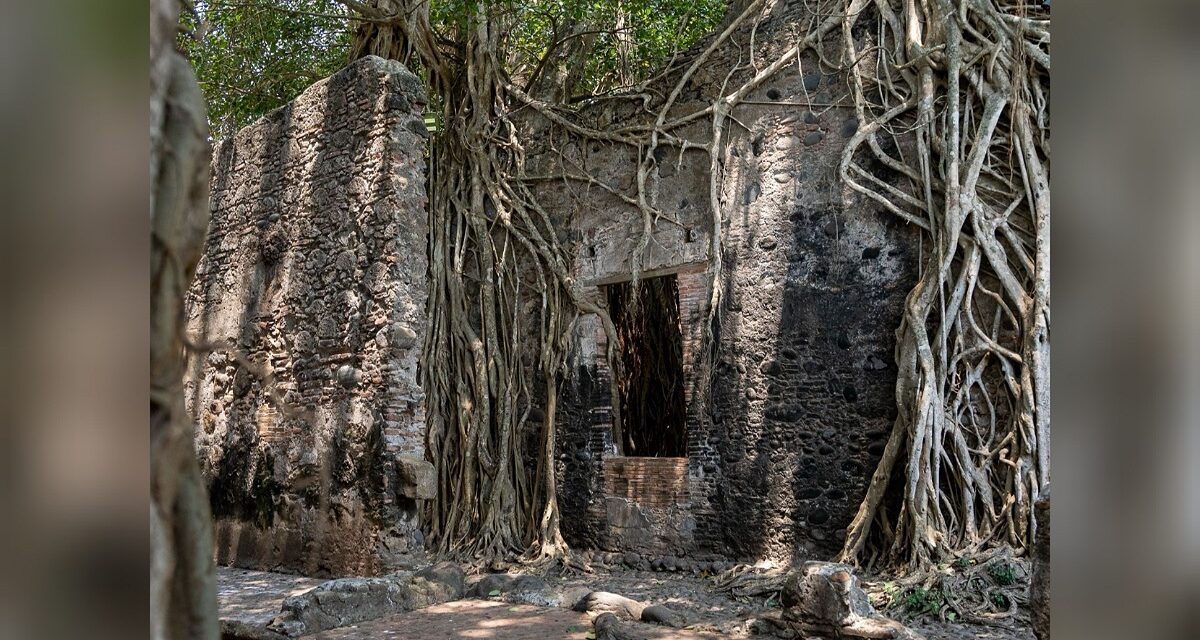 Explora La Antigua y descubre la historia viva de la Casa de Hernán Cortés