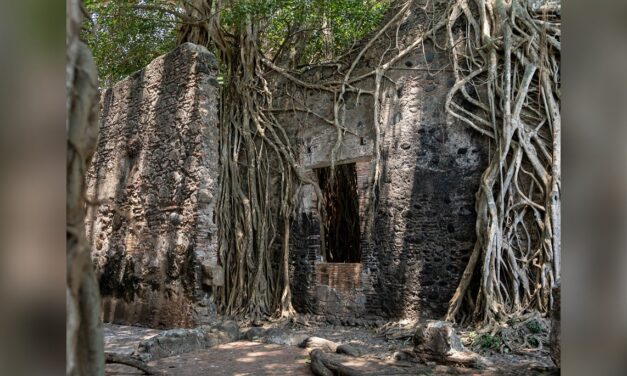 Explora La Antigua y descubre la historia viva de la Casa de Hernán Cortés