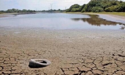 Suma Veracruz 33 municipios ‘anormalmente secos’ reporta CONAGUA