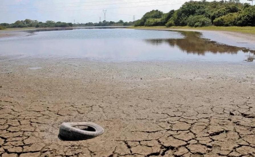 Suma Veracruz 33 municipios ‘anormalmente secos’ reporta CONAGUA