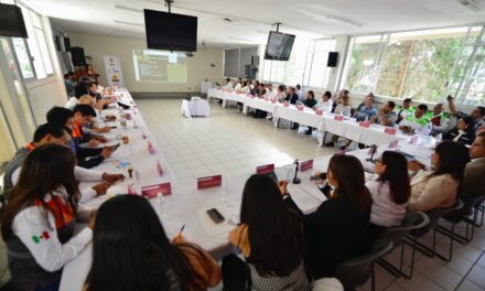 Veracruz se suma a la estrategia A Salvo para reducir accidentes viales