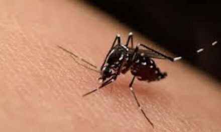 En el país se registran 2 mil 573 casos de dengue, Veracruz acumula 361