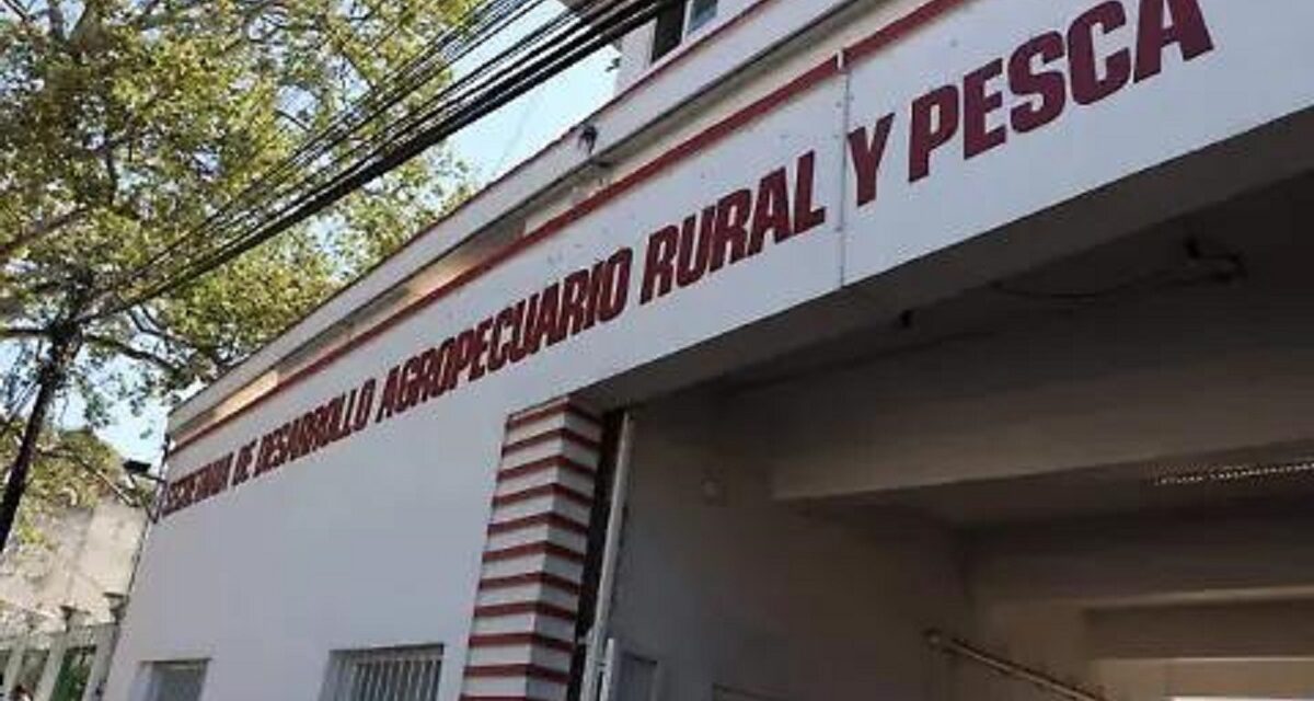 Irregularidades en SEDARPA tras entrega – recepción, inician carpetas