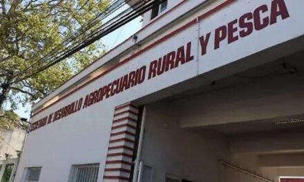 Irregularidades en SEDARPA tras entrega – recepción, inician carpetas