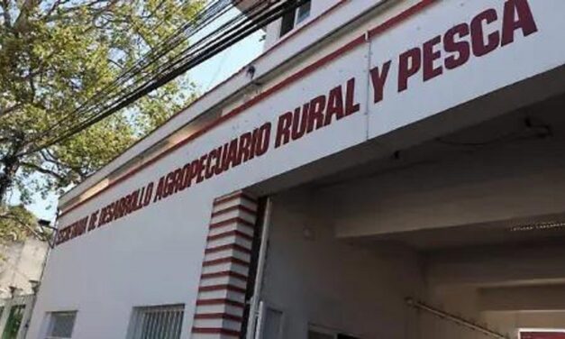 Irregularidades en SEDARPA tras entrega – recepción, inician carpetas