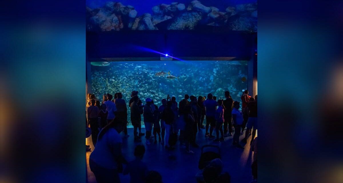 Récord de visitantes en Aquarium del Puerto de Veracruz durante Semana Santa