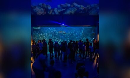 Récord de visitantes en Aquarium del Puerto de Veracruz durante Semana Santa