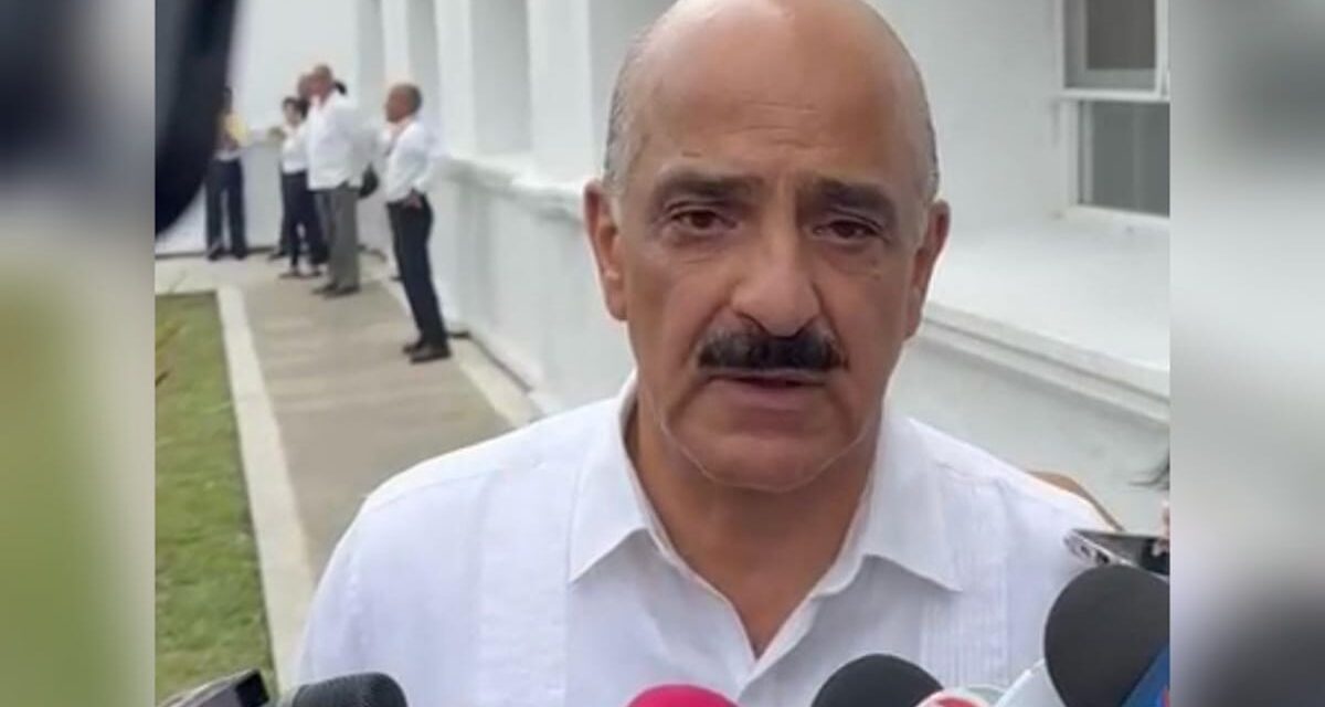 Confirma Ahued, solo 11 candidatos solicitaron seguridad