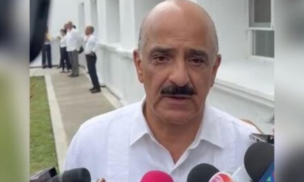 Confirma Ahued, solo 11 candidatos solicitaron seguridad