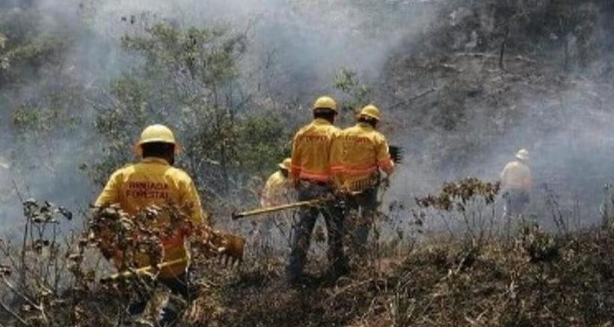Veracruz suma 22 incendios forestales, se ubica en el lugar diez en todo el país