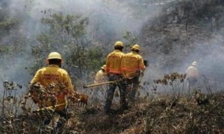 Veracruz suma 22 incendios forestales, se ubica en el lugar diez en todo el país