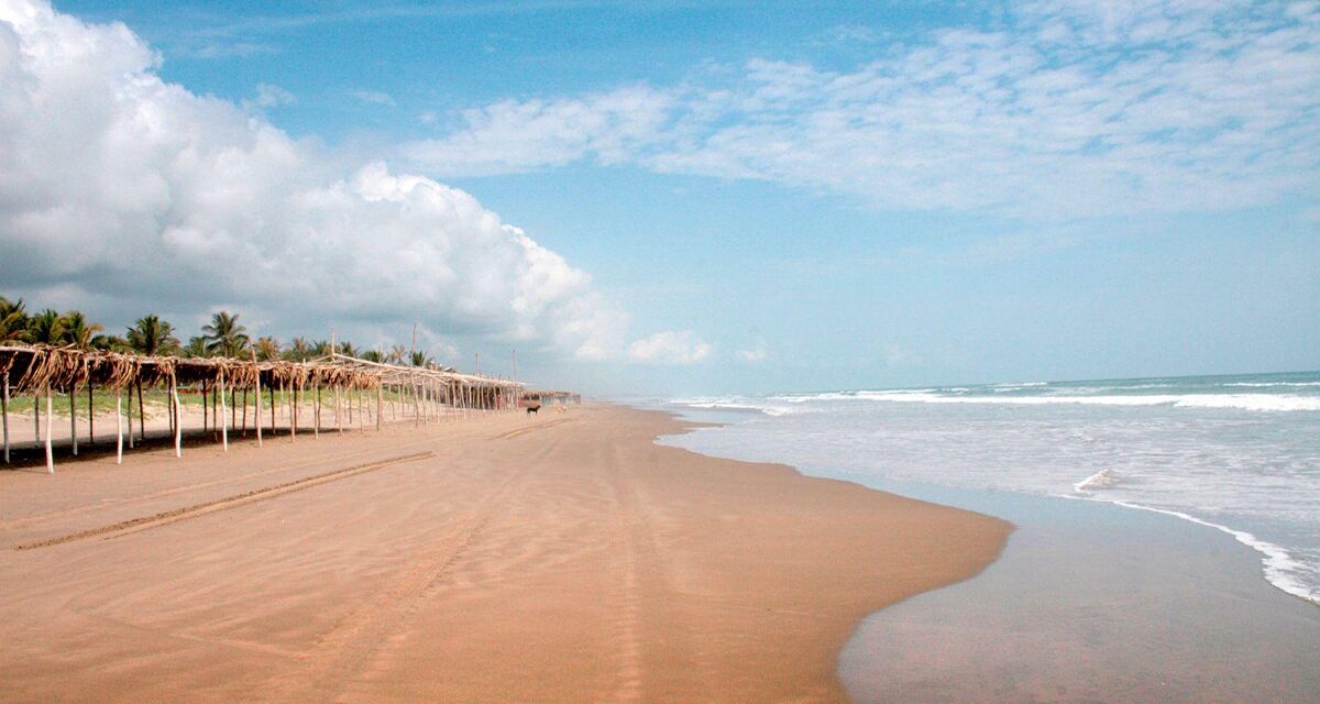 Tecolutla, paraíso tropical entre manglares, playa y sabor