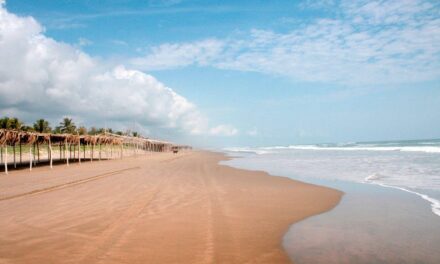 Tecolutla, paraíso tropical entre manglares, playa y sabor
