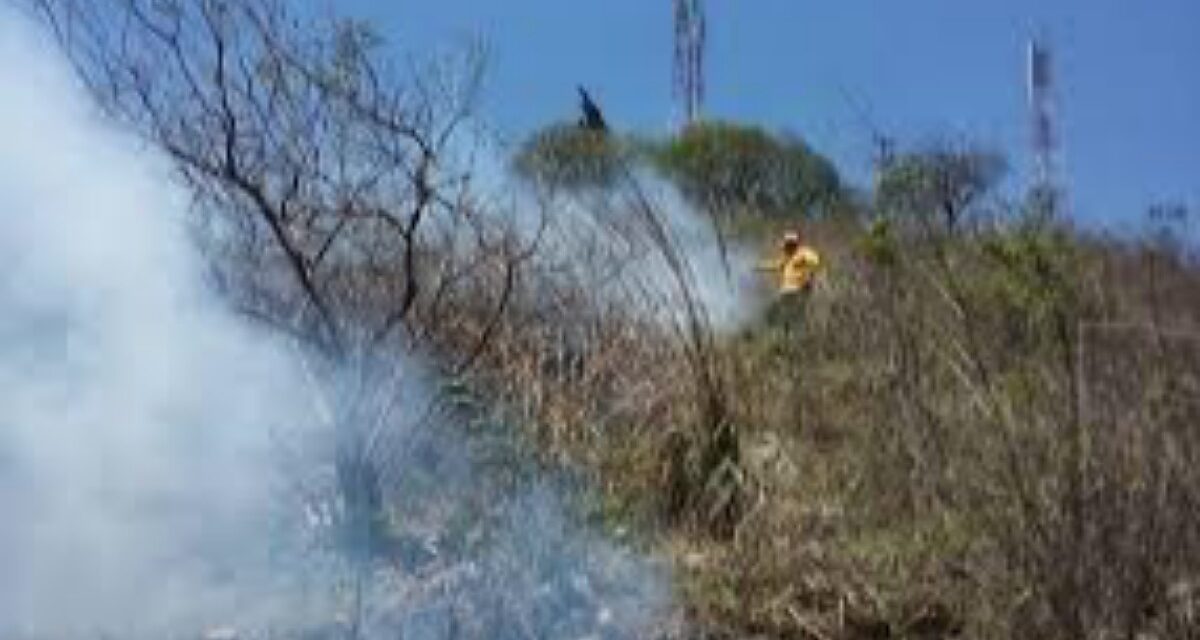 Atiende PC y CONAFOR incendio forestal en La Perla, llevan 85% de control