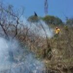Atiende PC y CONAFOR incendio forestal en La Perla, llevan 85% de control