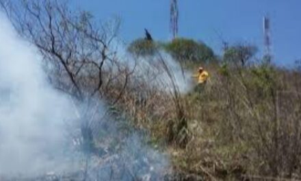 Atiende PC y CONAFOR incendio forestal en La Perla, llevan 85% de control