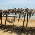 Deslumbra tus sentidos en Tuxpan, historia, naturaleza y sabor del Golfo