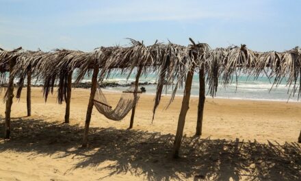 Deslumbra tus sentidos en Tuxpan, historia, naturaleza y sabor del Golfo