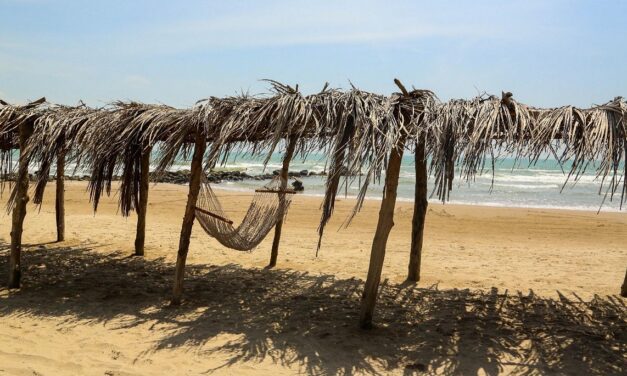 Deslumbra tus sentidos en Tuxpan, historia, naturaleza y sabor del Golfo