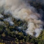 Atiende Estado tres incendios forestales, liquidaron 7 en la entidad
