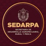 Presencia de gusano barrenador no implica sacrificios ni cuarentenas: Sedarpa