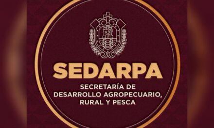 Presencia de gusano barrenador no implica sacrificios ni cuarentenas: Sedarpa