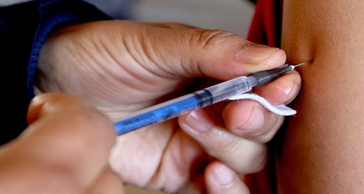 Aplican más de 900 mil vacunas en Veracruz contra 20 enfermedades trasmitidas por vector