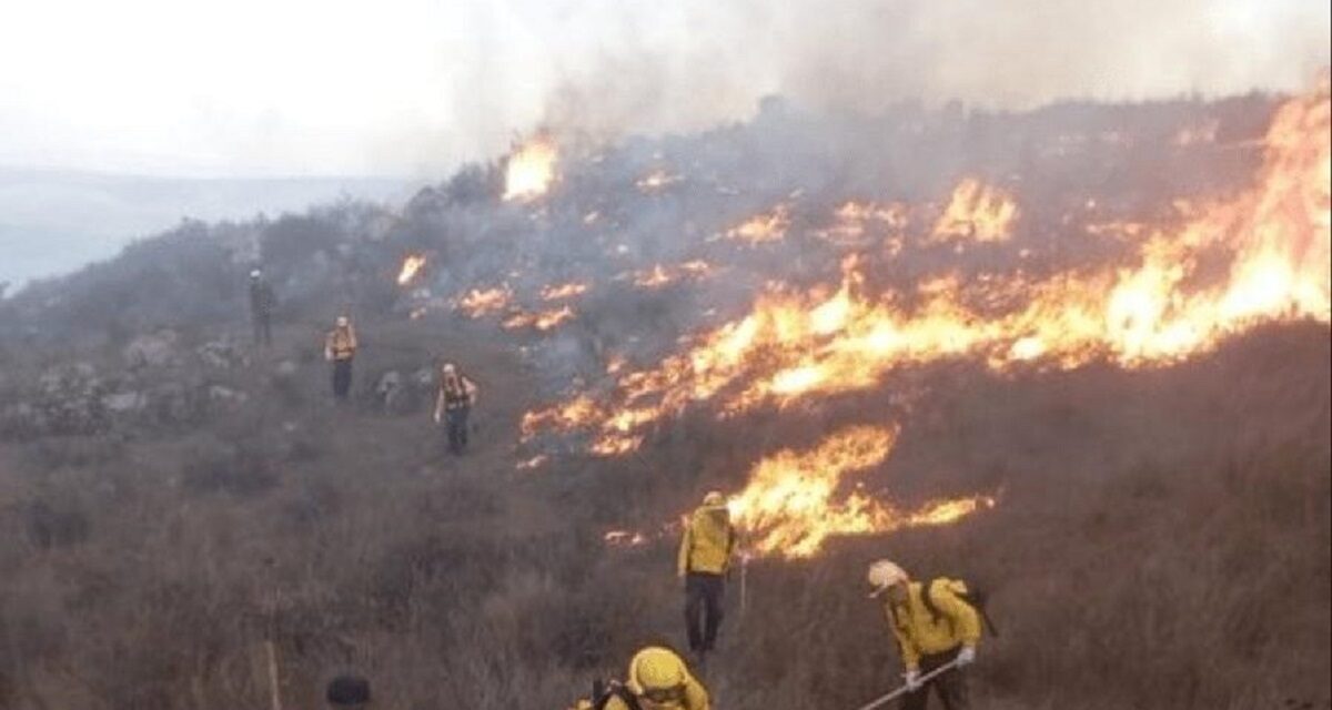 La mayoría de incendios forestales son provocados, reporta PC