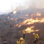 La mayoría de incendios forestales son provocados, reporta PC