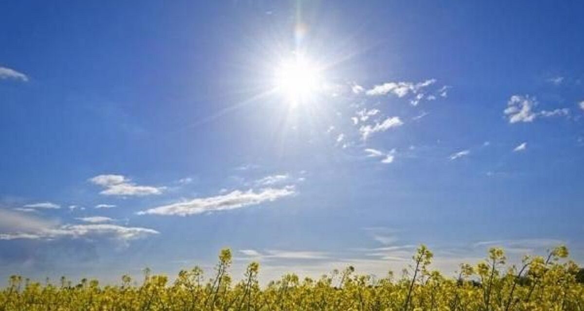 Prevén altas temperaturas en mayo y junio, llama PC tomar previsiones