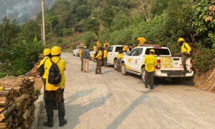 Durante la temporada, Veracruz registra 93 incendios forestales